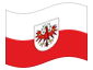 Animerad flagga Tyrolen (tjänsteflagga)