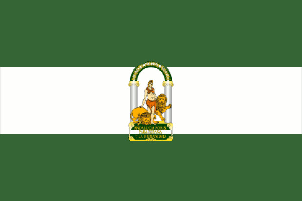 Flagga Andalusien, Flagga Andalusien