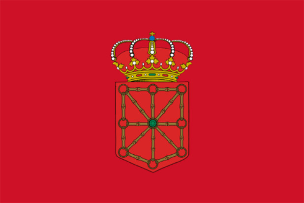 Flagga Navarra, Flagga Navarra