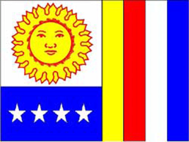 Flagga Vargas, Flagga Vargas