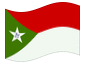 Animerad flagga Trujillo