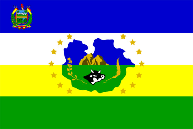 Flagga Guárico, Flagga Guárico