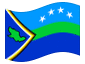 Animerad flagga Delta Amacuro