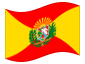 Animerad flagga Aragua