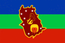 Amazonas-Flagga rektangulär