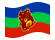 Amazonas-Flagga som vajar