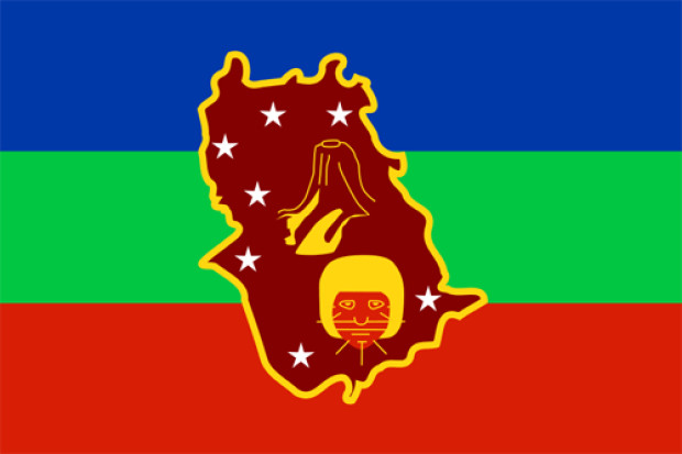 Flagga Amazonas, Flagga Amazonas