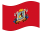 Animerad flagga Caracas
