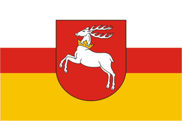 Flagga Lublin (Lubelskie)