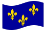 Animerad flagga Île-de-France