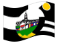 Animerad flagga Tshwane (storstadskommunen Tshwane)