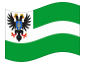 Animerad flagga Chernihiv