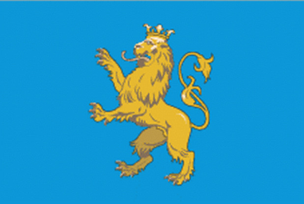 Flagga Lviv