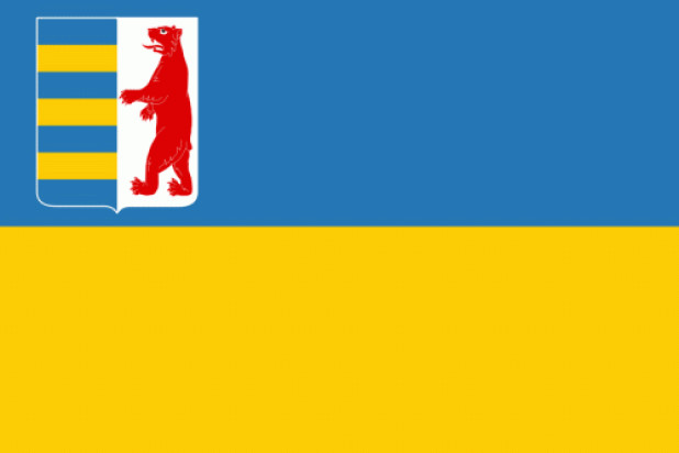 Flagga Transkarpatien