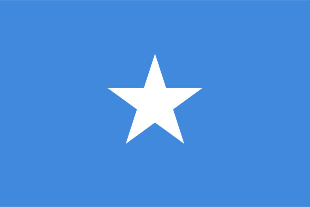 Flagga Somalia, Flagga Somalia