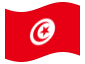 Animerad flagga Tunisien