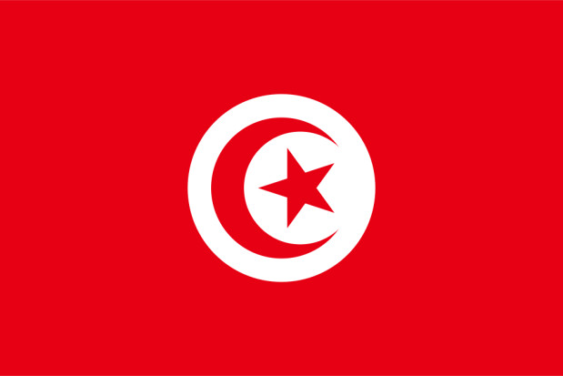 Flagga Tunisien, Flagga Tunisien
