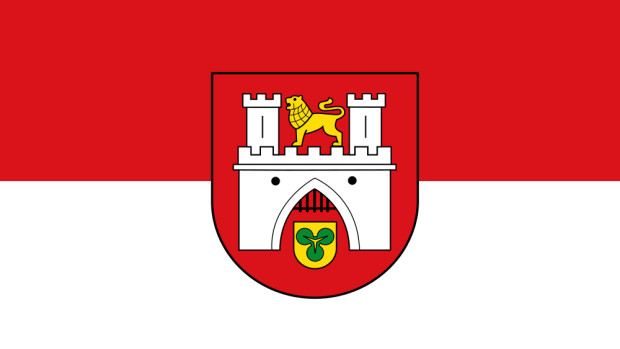 Flagga Hanover, Flagga Hanover