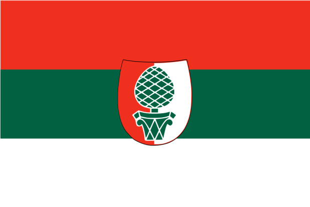 Flagga Augsburg, Flagga Augsburg