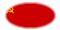 Sovjetunionen-Flagga som oval vinjett