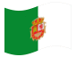 Animerad flagga Fuerteventura