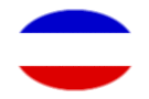 Schleswig-Holstein (preussisk provins)-Flagga som oval vinjett