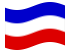 Schleswig-Holstein (preussisk provins)-Flagga som vajar